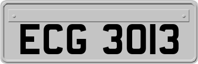 ECG3013