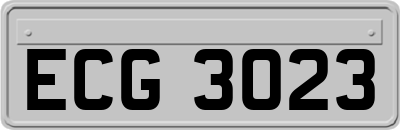 ECG3023
