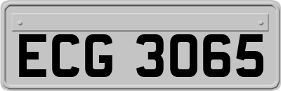 ECG3065