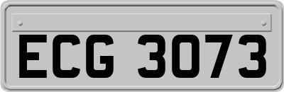 ECG3073