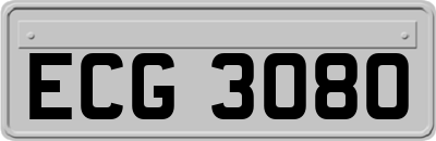 ECG3080