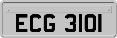 ECG3101
