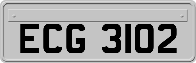 ECG3102
