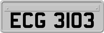 ECG3103