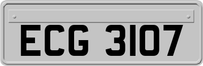ECG3107