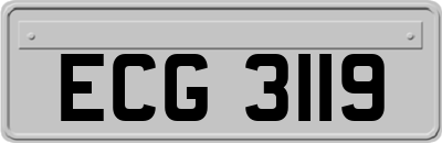ECG3119