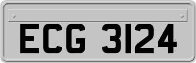 ECG3124