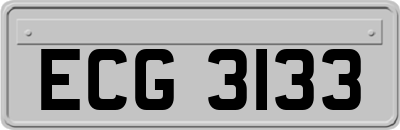 ECG3133