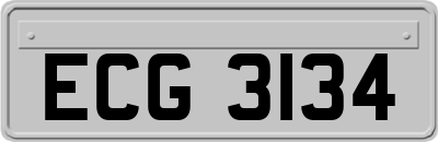 ECG3134