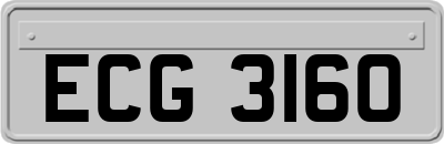 ECG3160