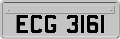 ECG3161