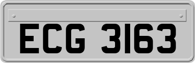 ECG3163