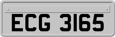 ECG3165