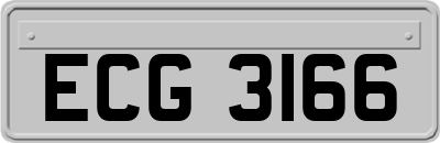 ECG3166