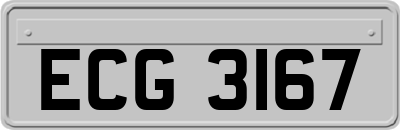 ECG3167