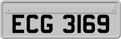 ECG3169