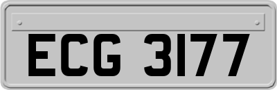 ECG3177
