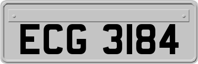 ECG3184