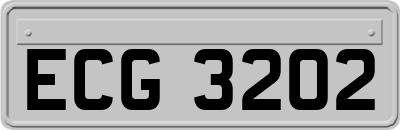 ECG3202