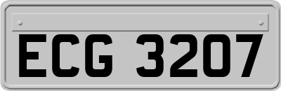 ECG3207