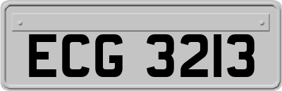 ECG3213