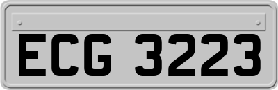 ECG3223