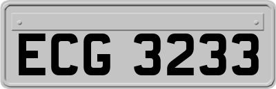 ECG3233