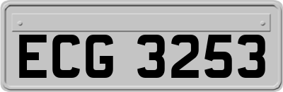 ECG3253