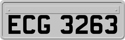 ECG3263
