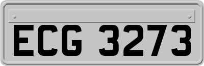 ECG3273