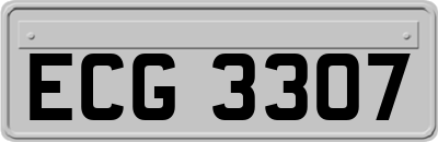 ECG3307