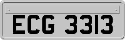 ECG3313