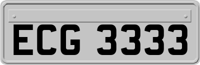 ECG3333