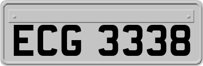 ECG3338