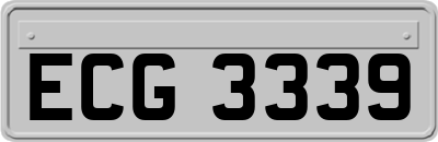 ECG3339