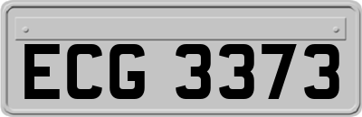 ECG3373