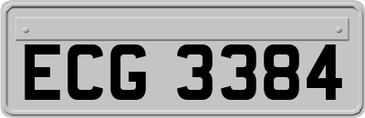ECG3384