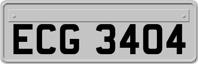 ECG3404