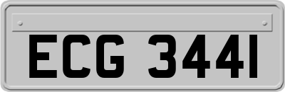 ECG3441