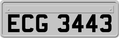 ECG3443