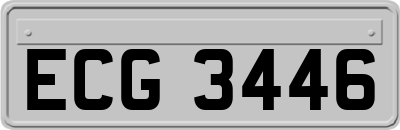 ECG3446
