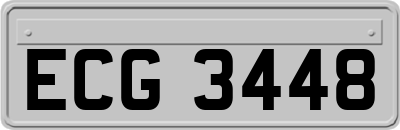 ECG3448