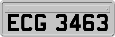 ECG3463