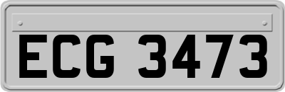 ECG3473