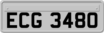 ECG3480