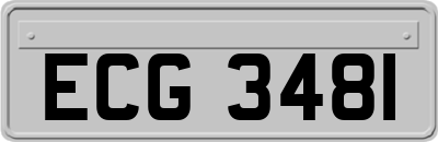 ECG3481