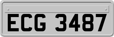 ECG3487