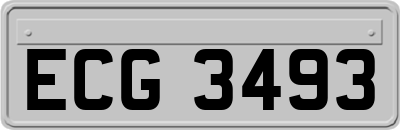 ECG3493