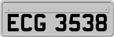 ECG3538