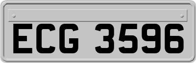 ECG3596